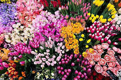 《幽灵行者2》Steam页面公开 首批截图